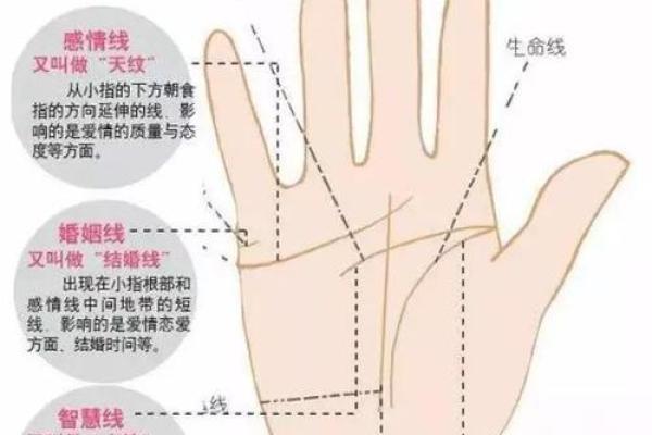手纹解读宝典：掌握手相文理，解锁人生运势密码