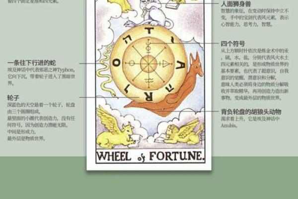 十二地支的秘密：命运的指引与力量