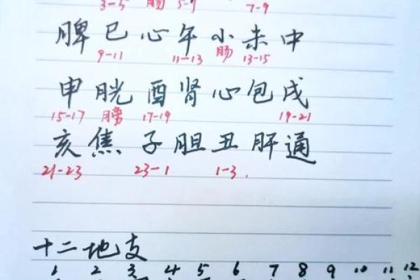 快速查地支，准确无误的诀窍