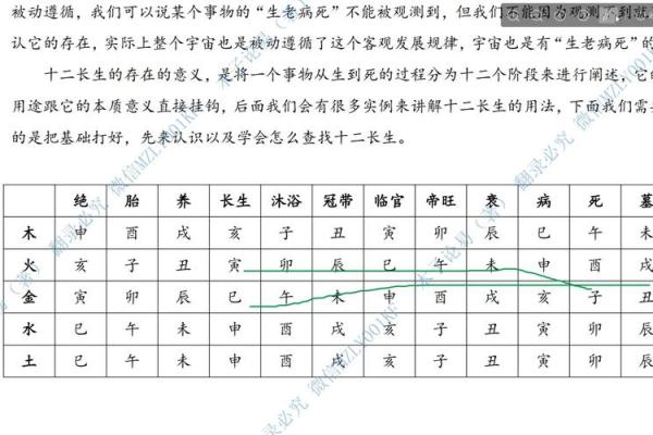 地支枭劫官与运势的关联分析