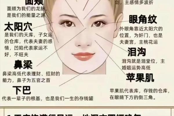 面相解析：鼻子大勾，财运亨通的秘密