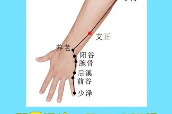 人体经络与地支的奇妙联系