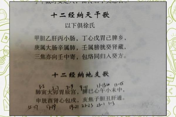 人体经络与地支的奇妙联系
