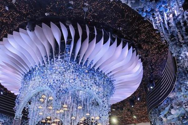 韩国婚礼中的传统仪式与现代化冲突