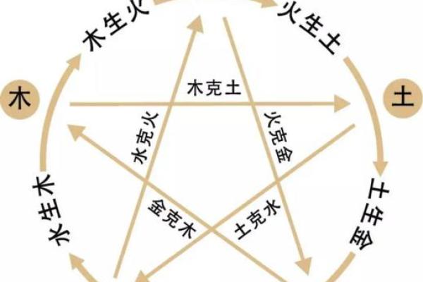 面相揭秘：男女互克之谜，揭秘命运相克之谜