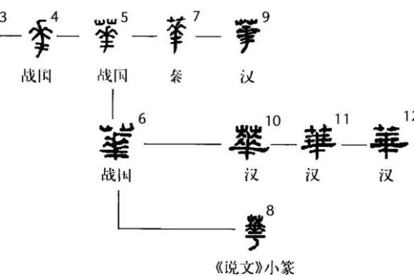 华五行属性在传统文化中的重要性