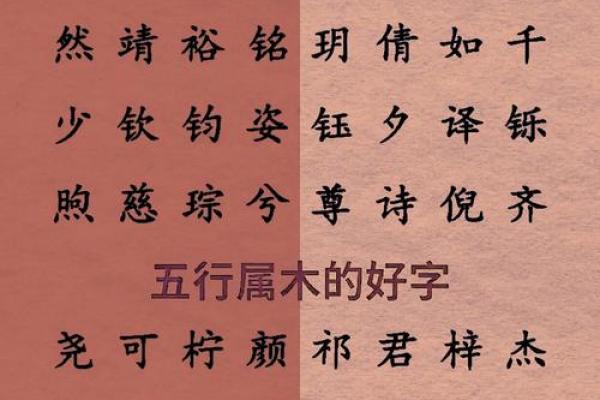 带金字的五行分析与应用