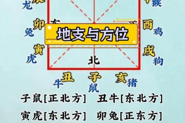周易中的十二地支与命运解析