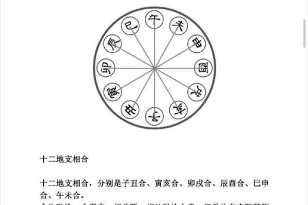 周易中的十二地支与命运解析