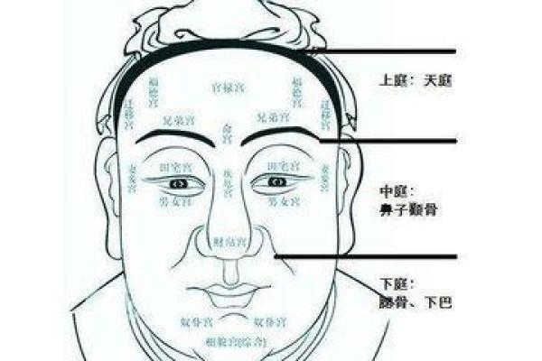 野心勃勃：揭秘面相中的雄心壮志