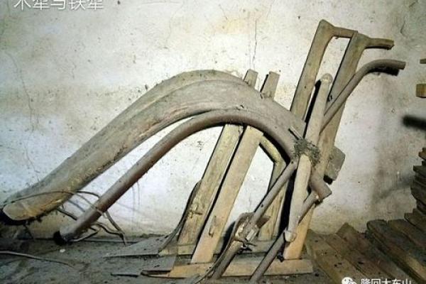 广东农村风水学与传统农耕文化的紧密关系