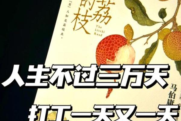布局人生：掌握命理，玩转职场权谋之道