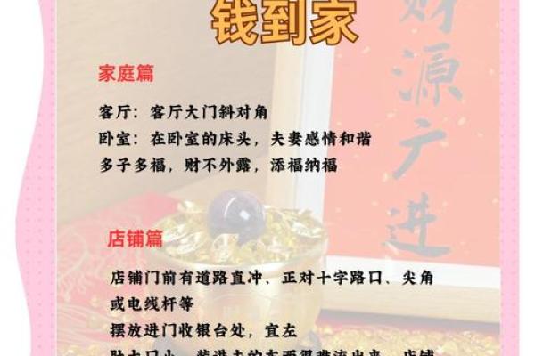 家居风水宝典：盆栽摆放，提升家居气场秘籍