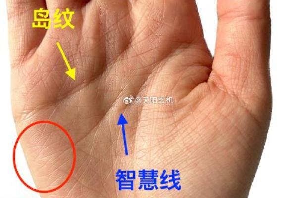手相中的玉井线：你的运势密码，一探究竟