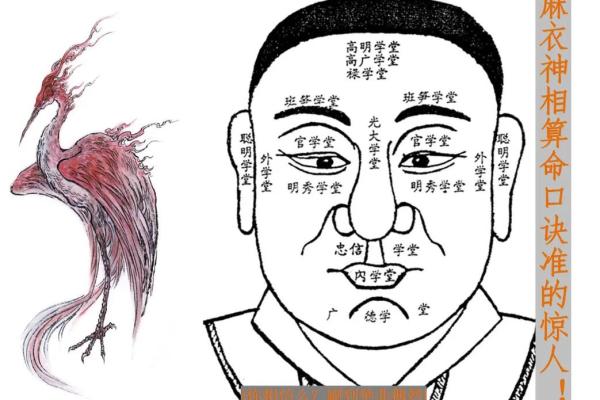 肚脐有痣，麻衣神相揭秘！