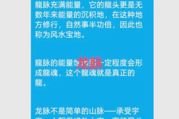 探索风水学：入门知识与实践建议