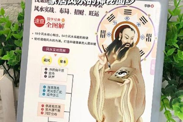 探索风水学：入门知识与实践建议
