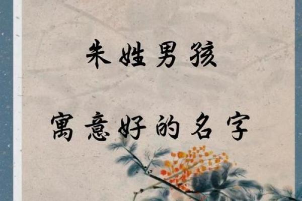 精选朱姓宝宝名字：寓意美好，寓意吉祥