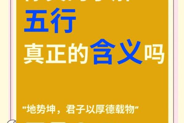 晟五行之道：探讨五行能量对健康的影响