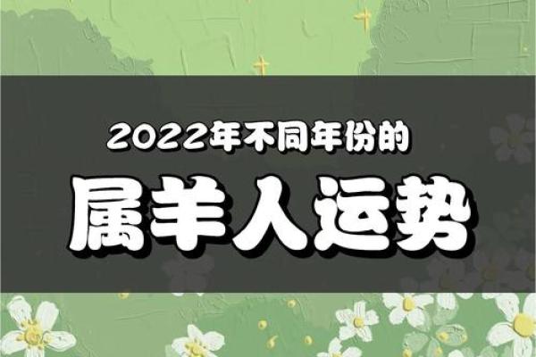 属羊九月运势大揭秘