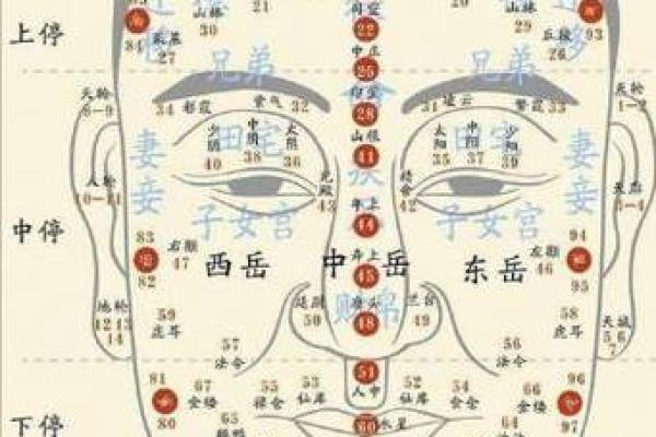面相解析：刘倩婷的五官特征与命运预示