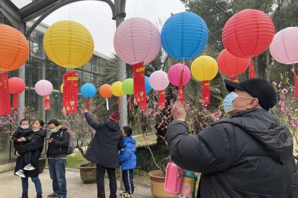 热闹元宵闹花灯，民俗文化传承情