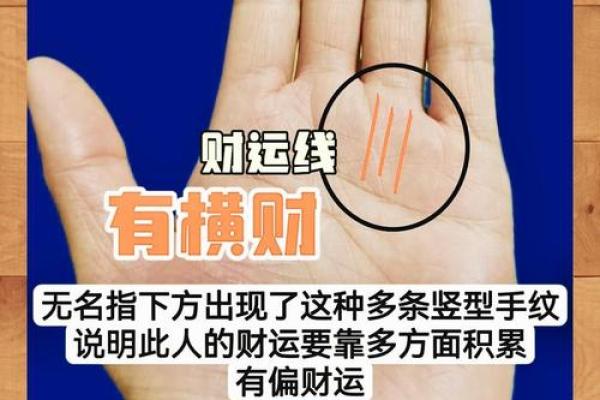 手中奥秘，纹路解码