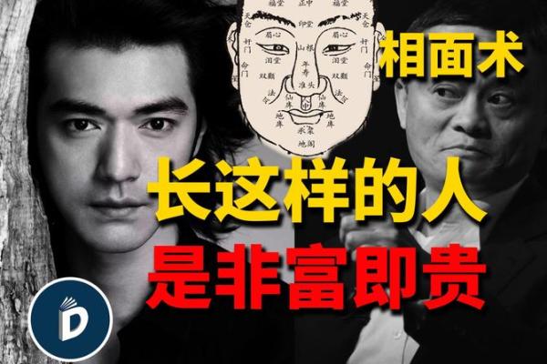 额头下巴小：财运亨通的秘密面相解码
