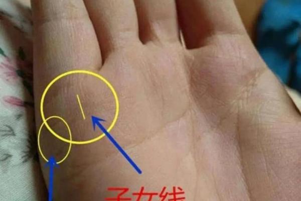 手相解码：学业线深度解读，助你学业腾飞