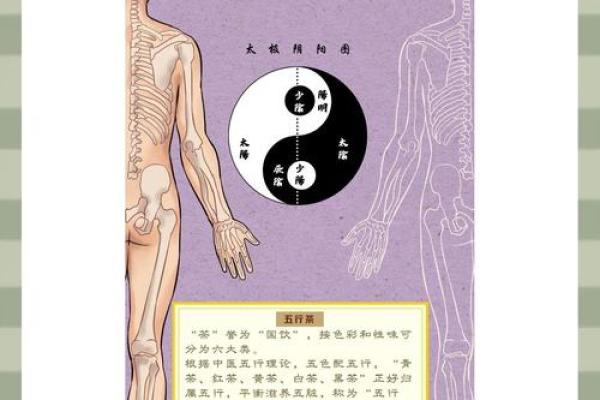 茶与五行的奇妙联系
