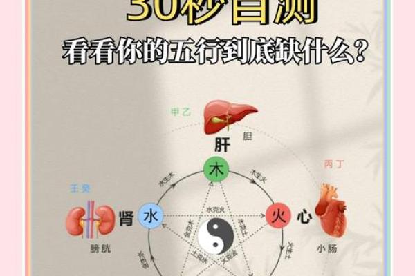 五行木命揭秘：跟随自然节奏，发现你的潜力所在