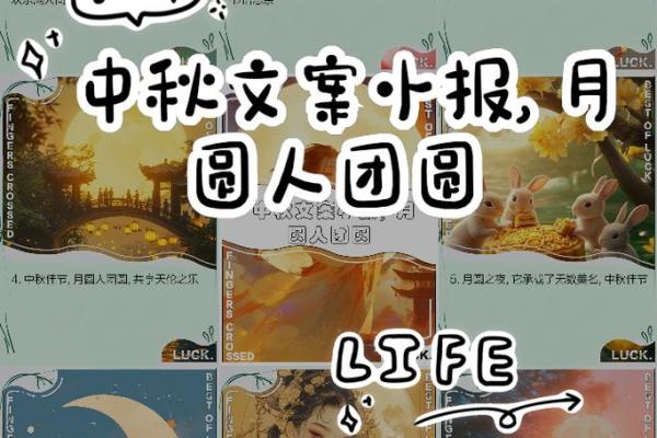 月圆人团圆：揭秘中秋佳节的传统习俗