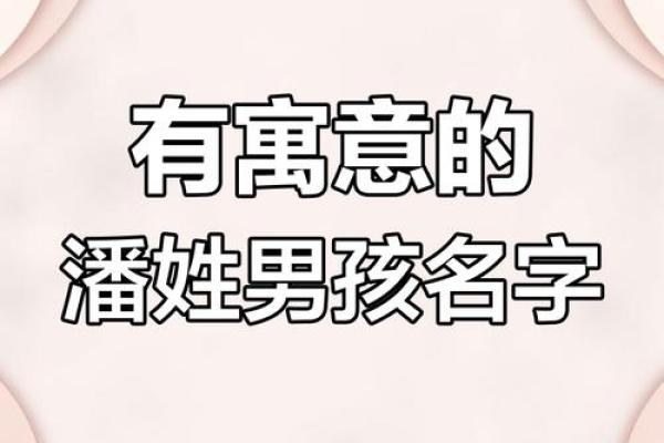 潘姓宝宝名字精选