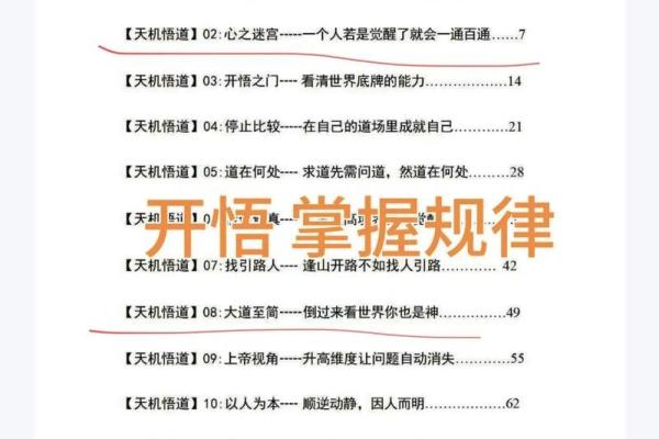 命运之手：探寻命理规律，掌握人生运势