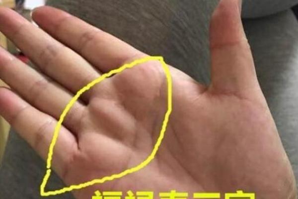 手相奥秘：坤离巽三大元素，揭秘运势吉凶！