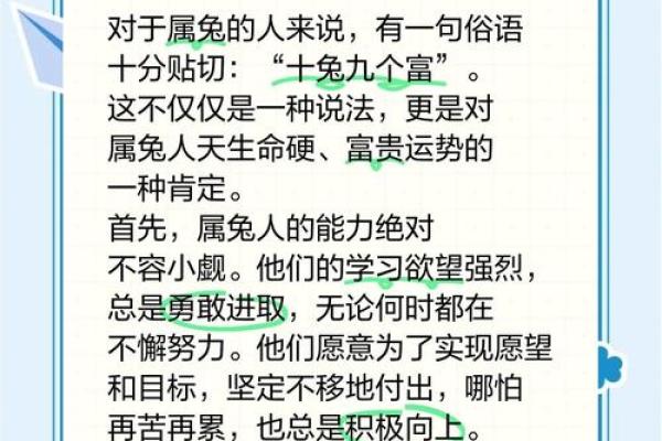 兔人运势：财运、事业、感情全面预测