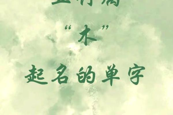 五行解析：久字究竟属什么
