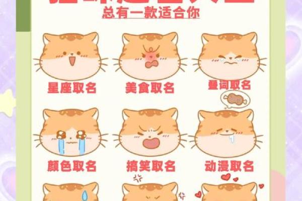 猫咪起名攻略：热门男猫名字大盘点