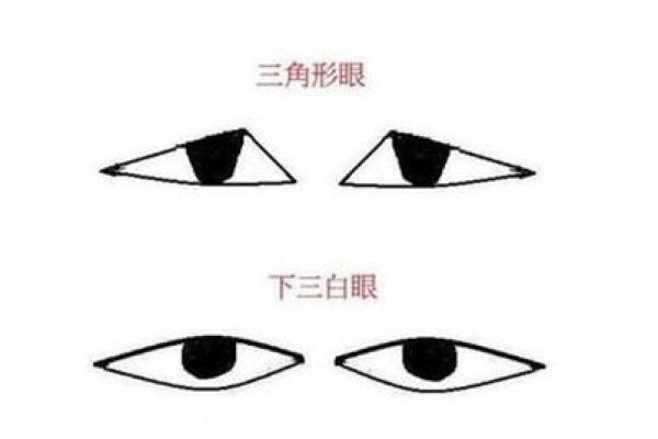 猿鼻面相解析：揭秘神秘面相背后的寓意与命运