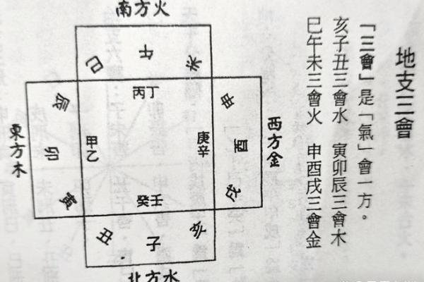 探索亥子丑地支在八字中的作用