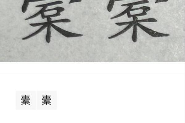 棠字的五行属性及其意义
