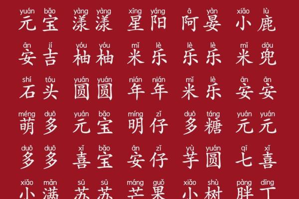 猪年男宝宝取名必看：这些禁忌你一定要知道