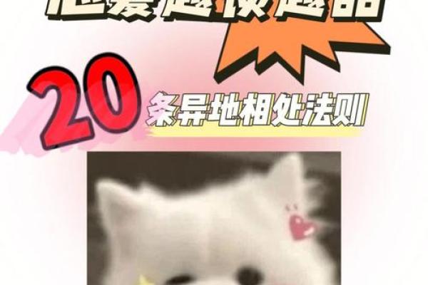 爱情风水秘籍，助你找到心仪的另一半