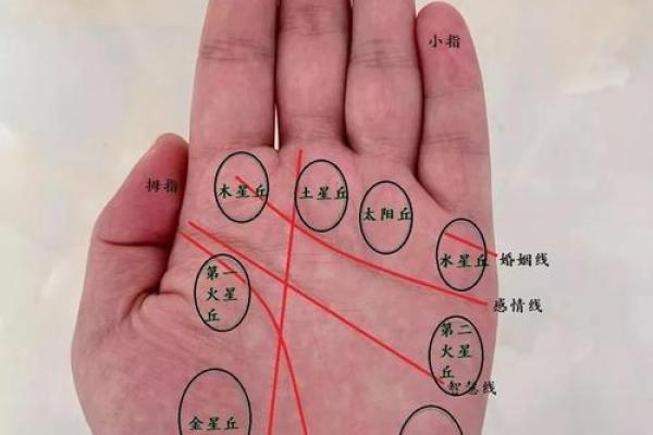 掌心密语：手相解密你的爱情密码