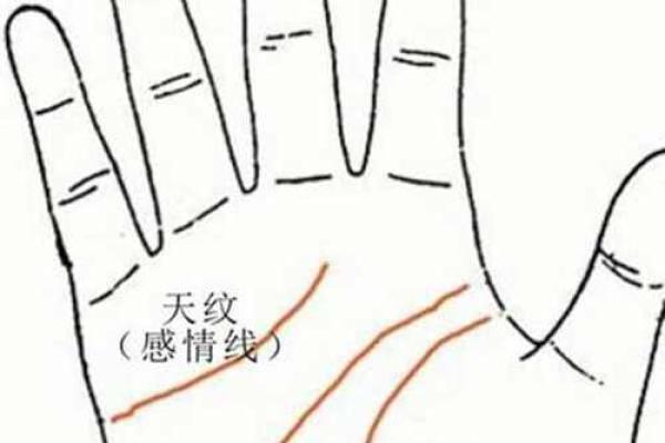 眼角三纹，解码命运之线的神秘面相密码
