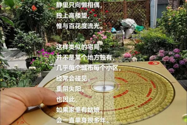 宫廷秘境：风水摆设揭秘，皇室宝物竟暗藏其中