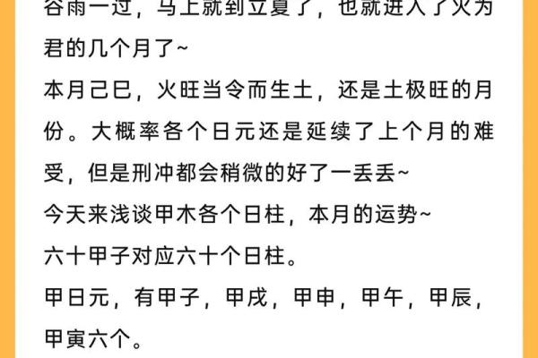 己巳在五行中的定位与象征