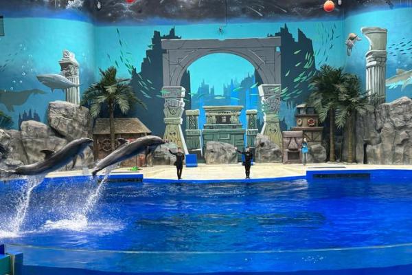 探秘水族的历史与文化遗产