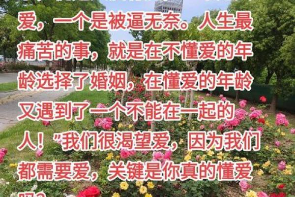 爱情风水，让你的幸福之路越走越宽广