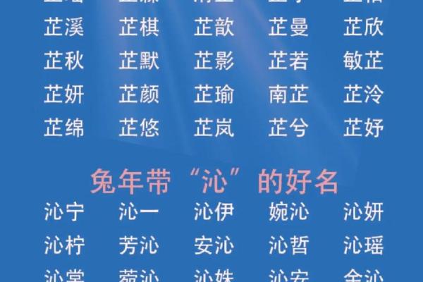 珍惜如宝，名字中的珍贵寓意